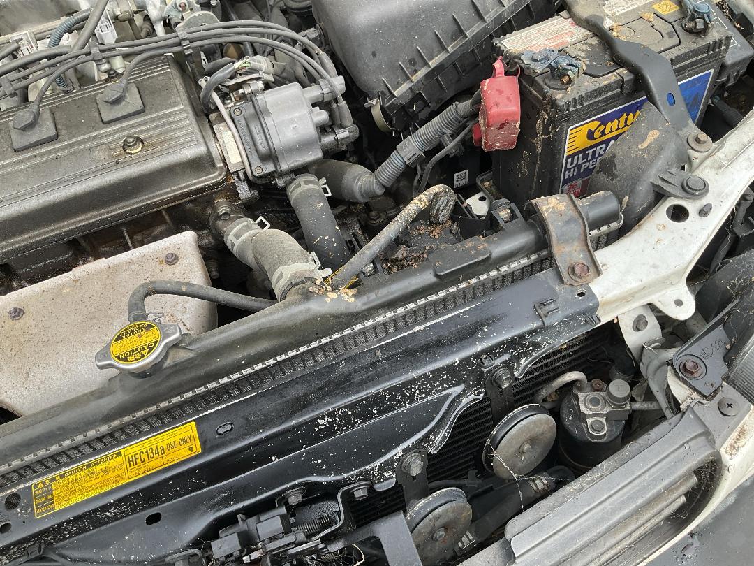 Photo '16' of Toyota Corolla XL