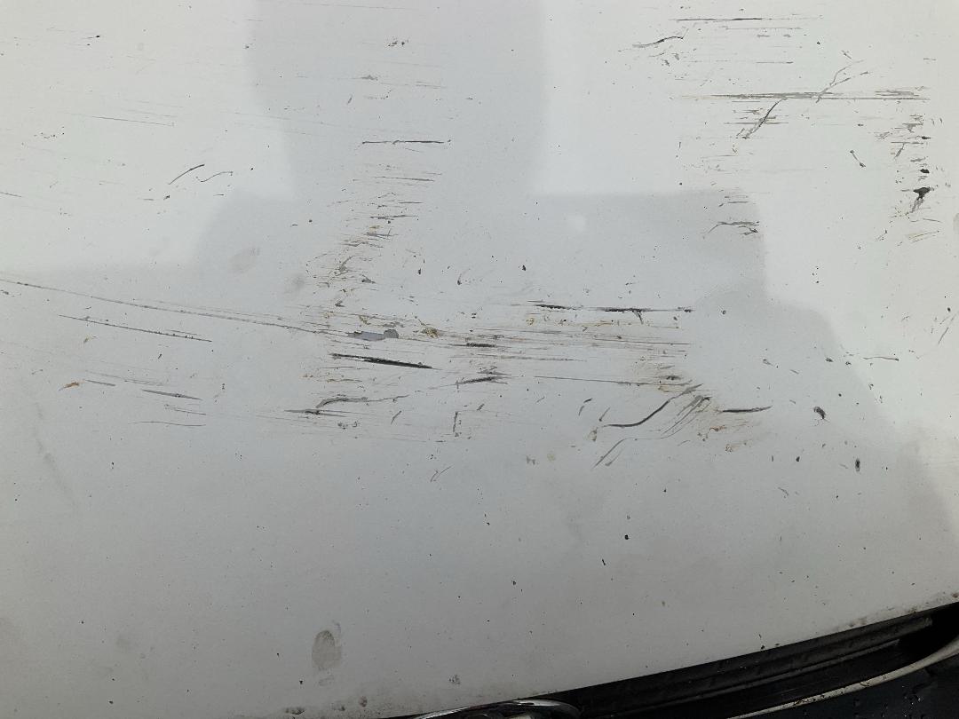 Photo '20' of Toyota Corolla XL