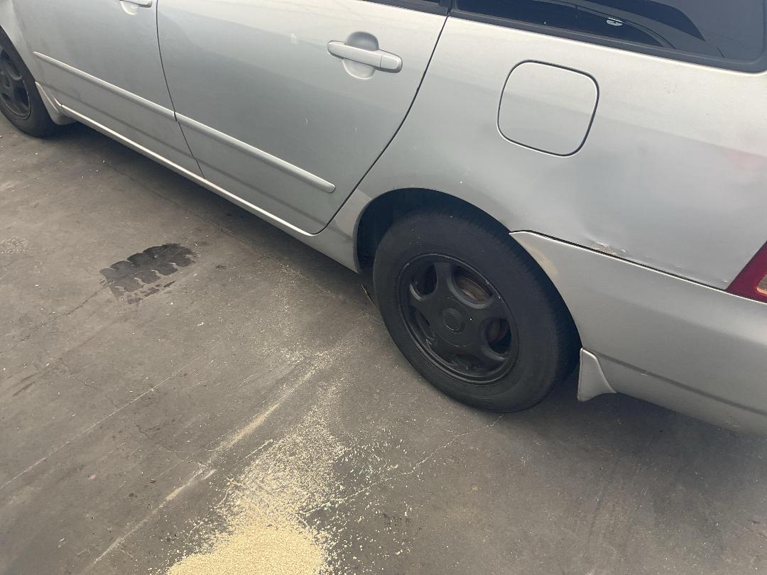 Photo '11' of Toyota Corolla Fielder