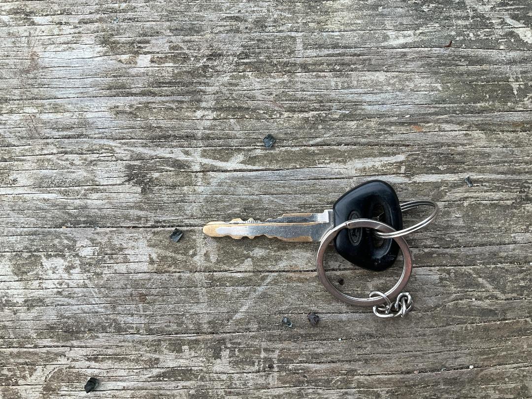 Photo '26' of Ford Courier XL Chassis CAB