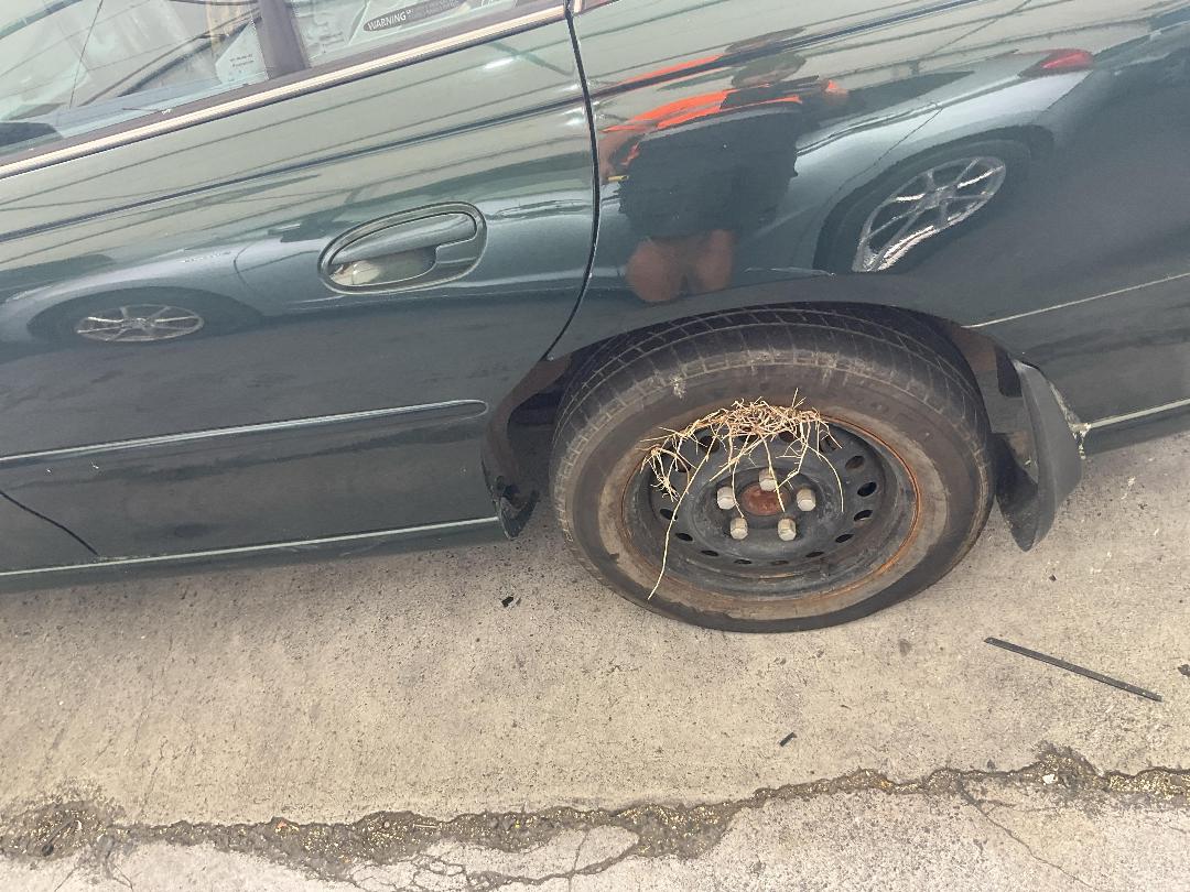 Photo '8' of Holden Berlina V6 Photo '8' of Holden Berlina V6