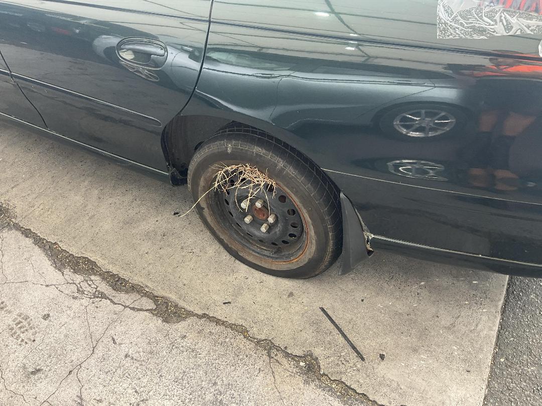 Photo '10' of Holden Berlina V6 Photo '10' of Holden Berlina V6