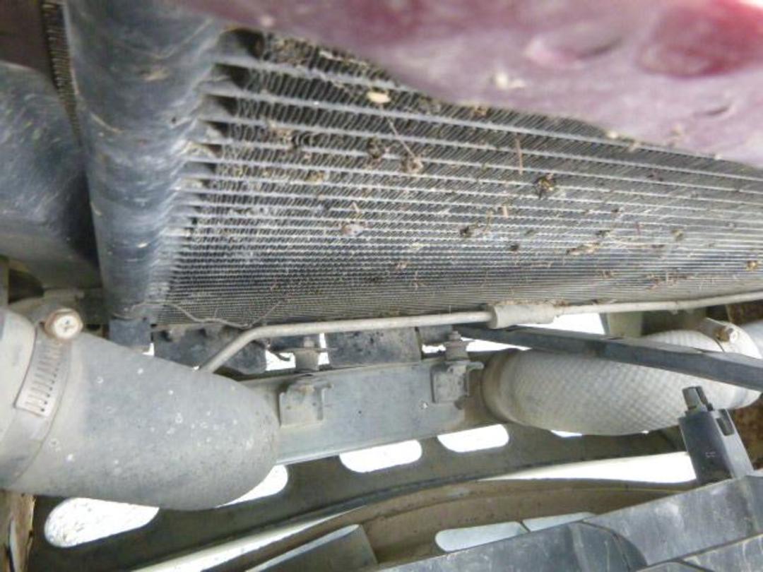 Photo '28' of Mazda Bounty DBL CAB W/S TD