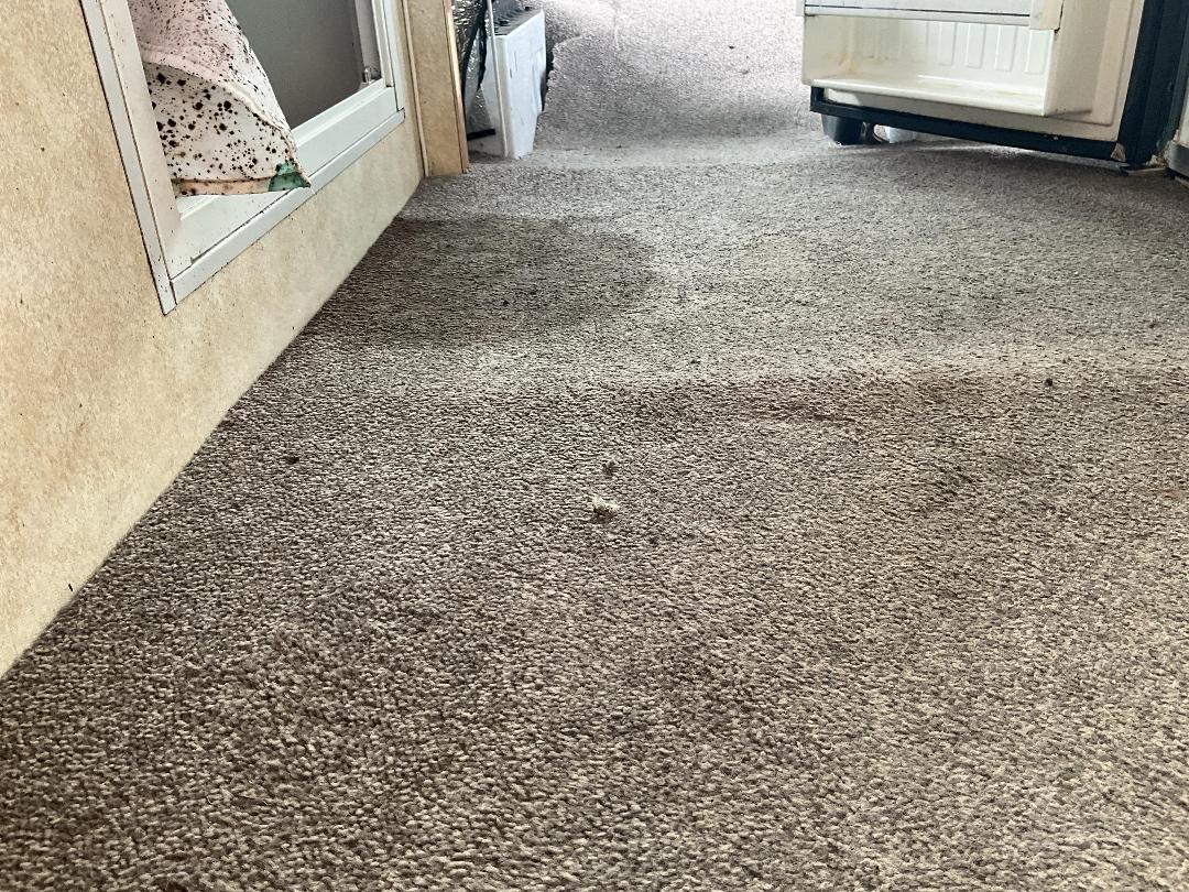 Photo '36' of Mercedes-Benz Sprinter 308CDI 3550 Chassis Motorhome