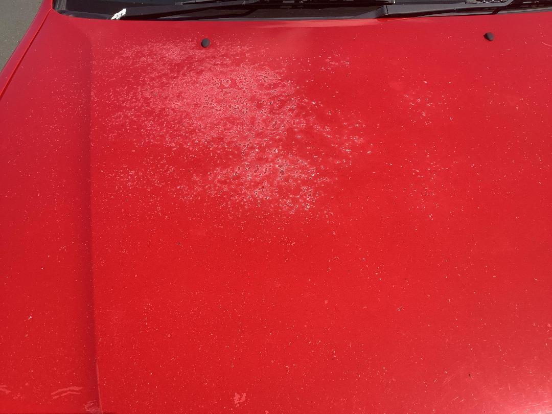 Photo '22' of Nissan Primera GX Photo '22' of Nissan Primera GX