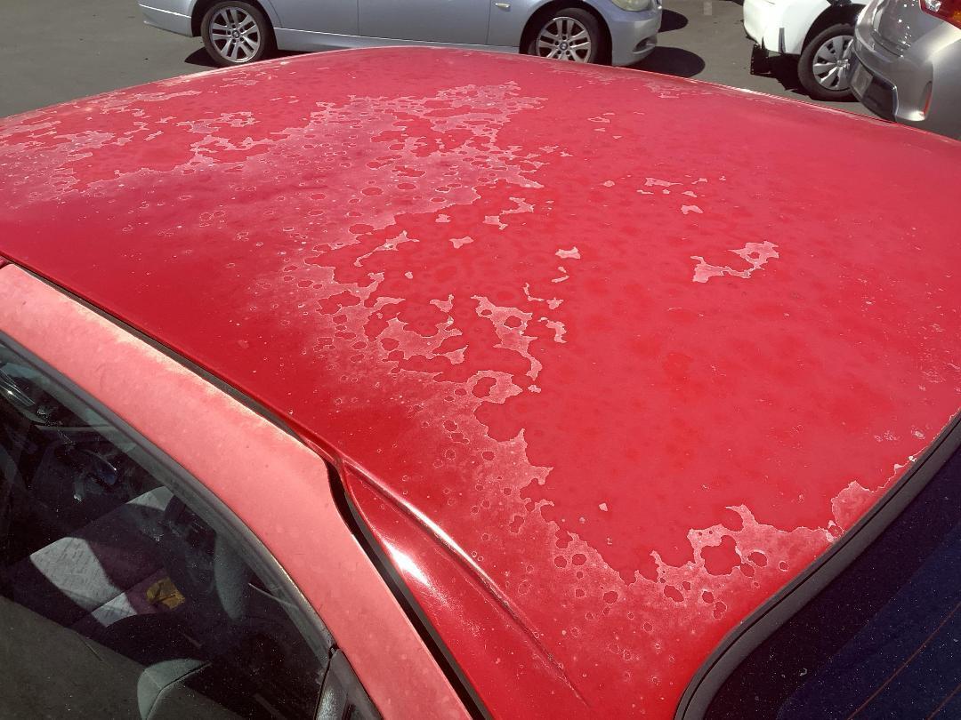 Photo '23' of Nissan Primera GX Photo '23' of Nissan Primera GX