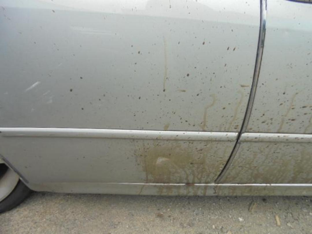 Photo '8' of Toyota Altezza