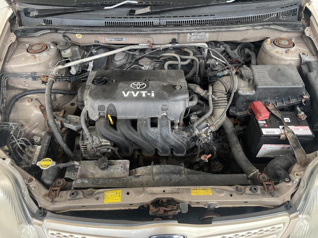 Photo '11' of Toyota Corolla Allex