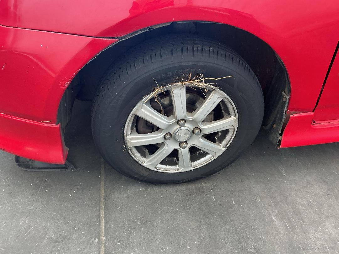 Photo '8' of Toyota Corolla Runx