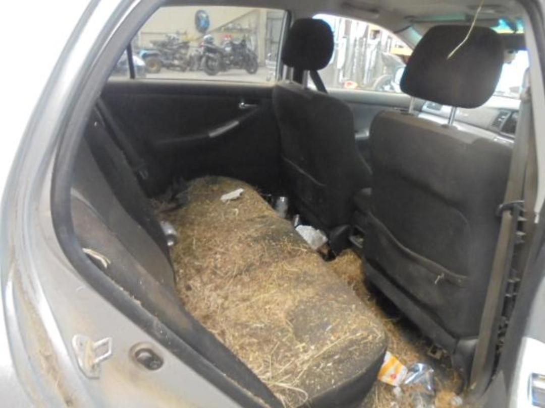 Photo '8' of Toyota Corolla Allex