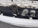 Thumbnail '3' of Toyota Ipsum