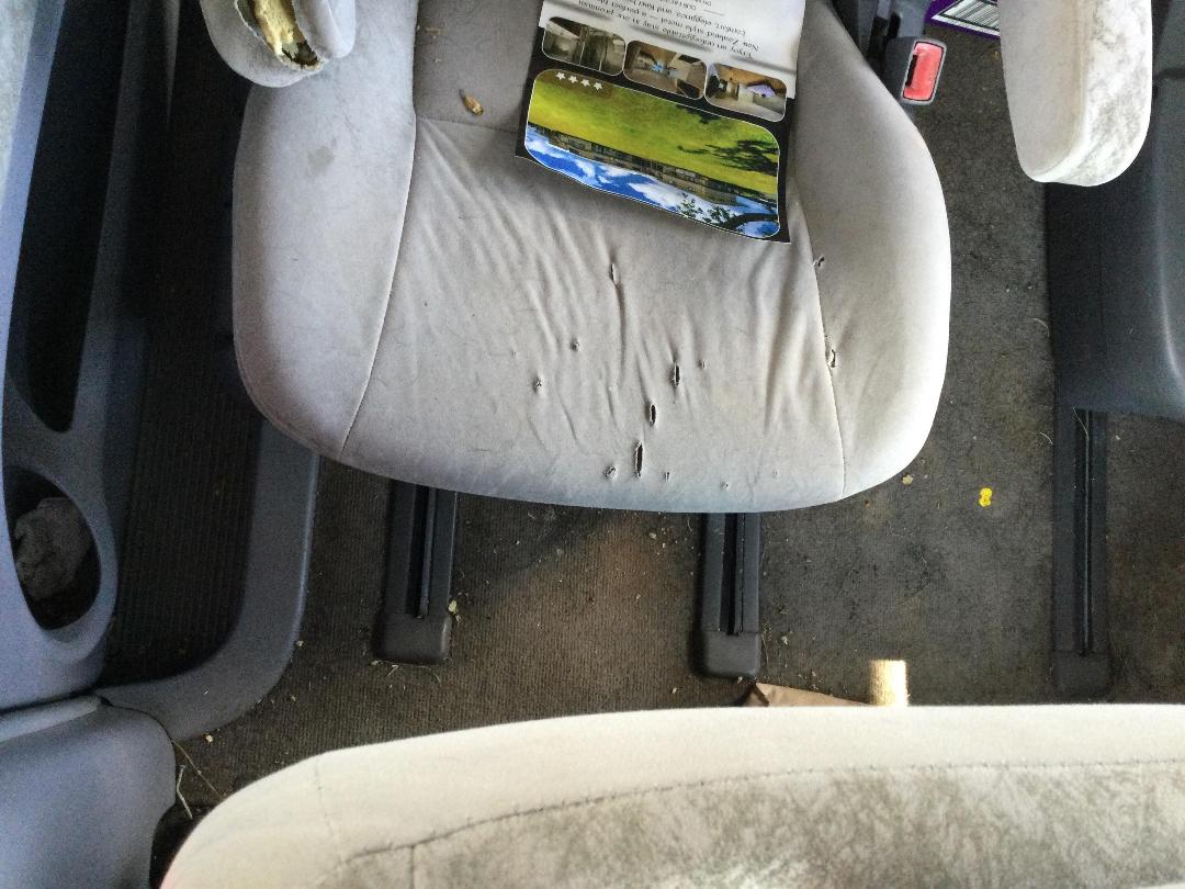 Photo '19' of Toyota Previa Grande