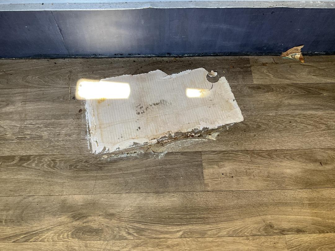 Photo '29' of TRAILER CUSTOM Food/Coffee - Tandem