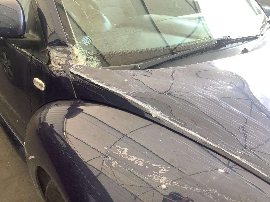 Photo '5' of Volkswagen Beetle Photo '5' of Volkswagen Beetle