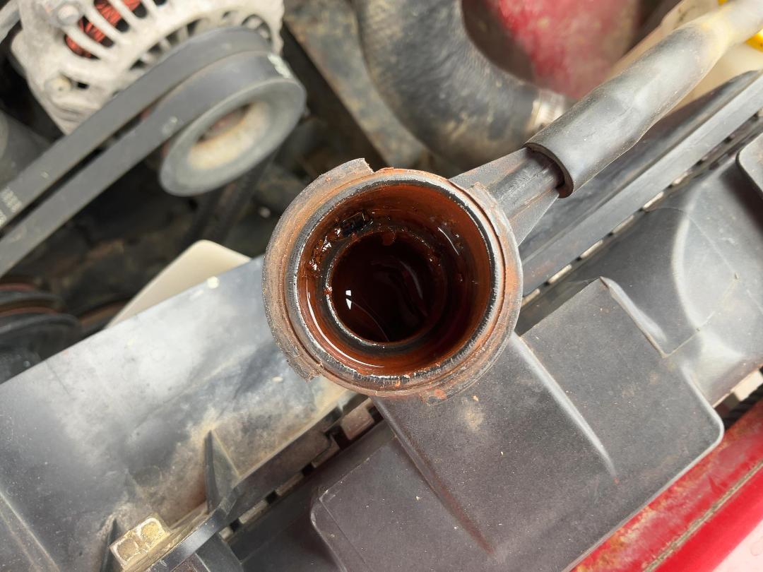 Photo '9' of Ford Courier XLT Chassis CAB