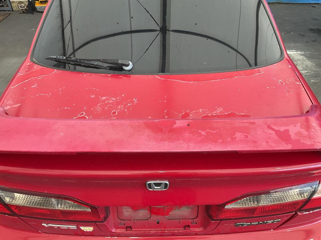 Photo '22' of Honda Torneo SIR