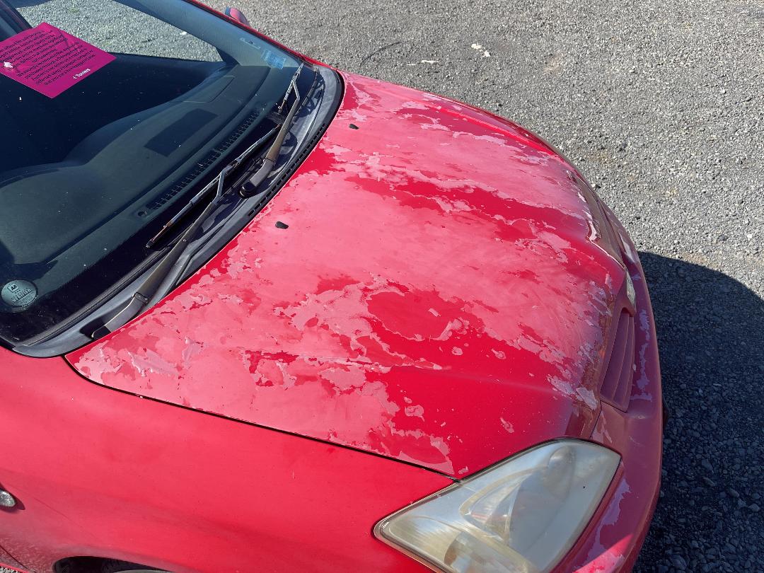 Photo '22' of Toyota Allex