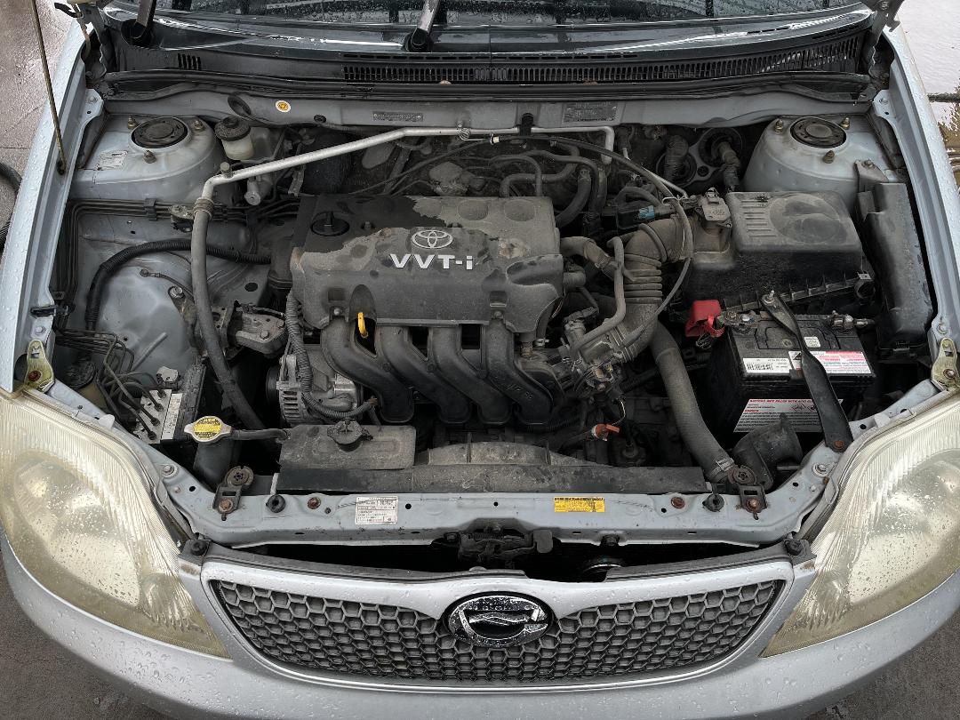 Photo '11' of Toyota Corolla Runx