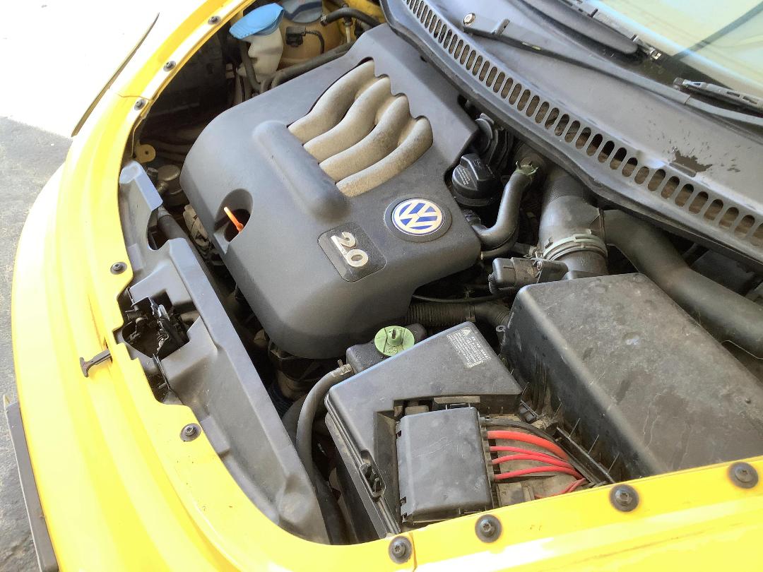 Photo '11' of Volkswagen Beetle