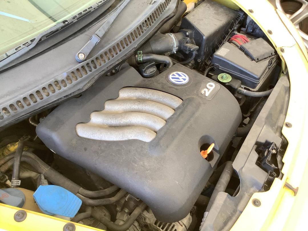 Photo '12' of Volkswagen Beetle