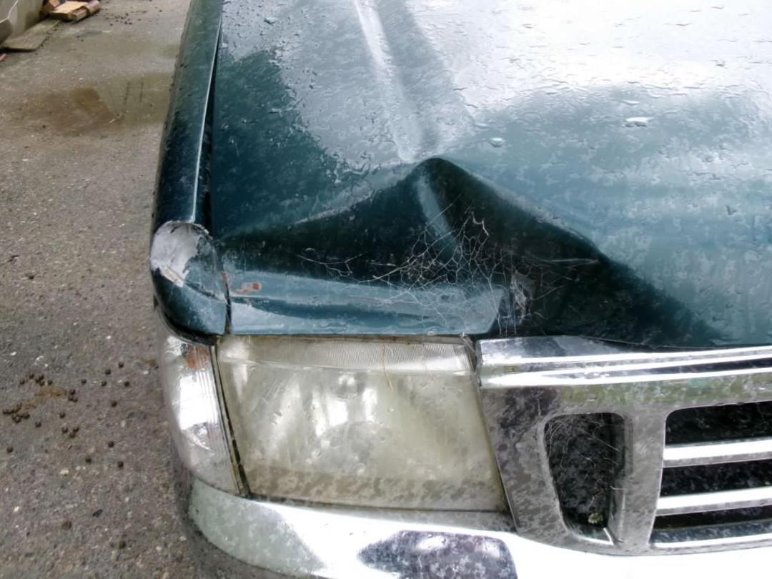 Photo '2' of Ford Courier XLT TD W/S