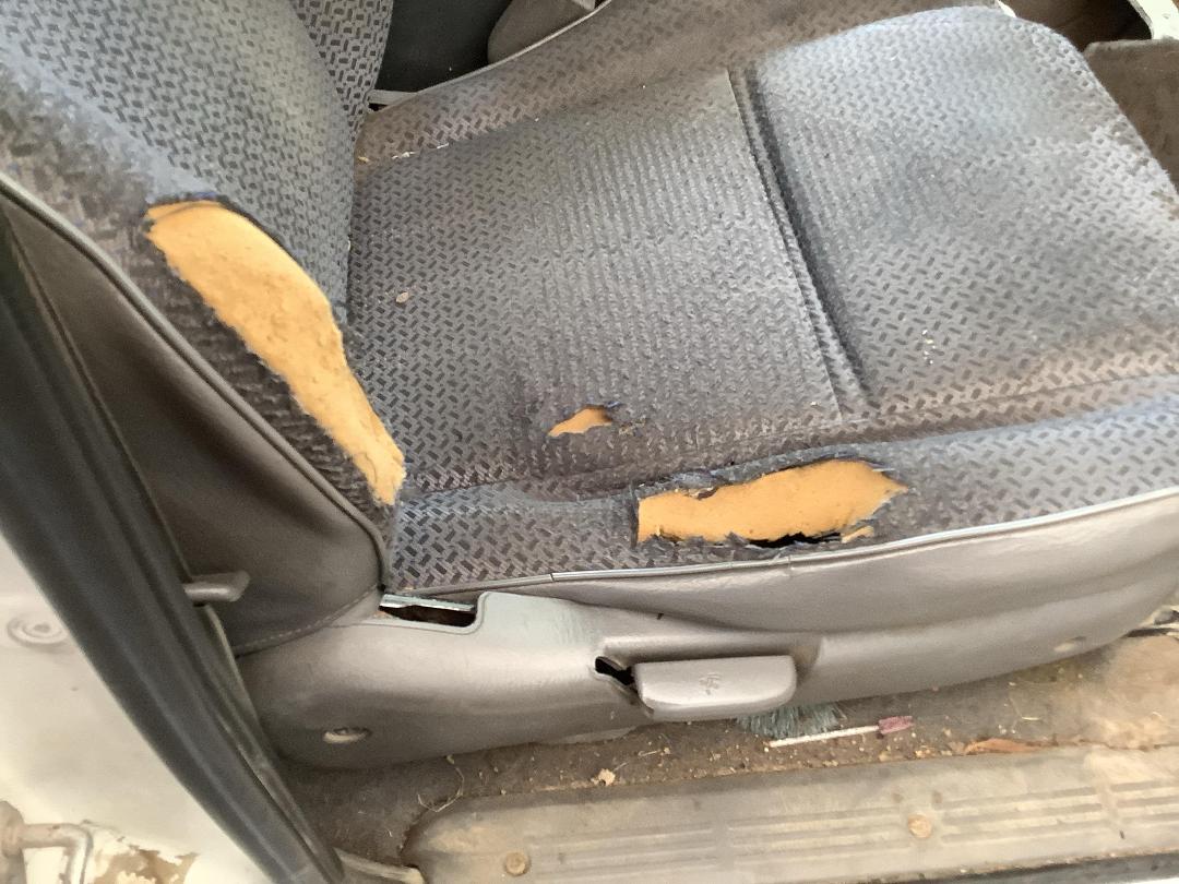 Photo '13' of Ford Courier XL TD Crew