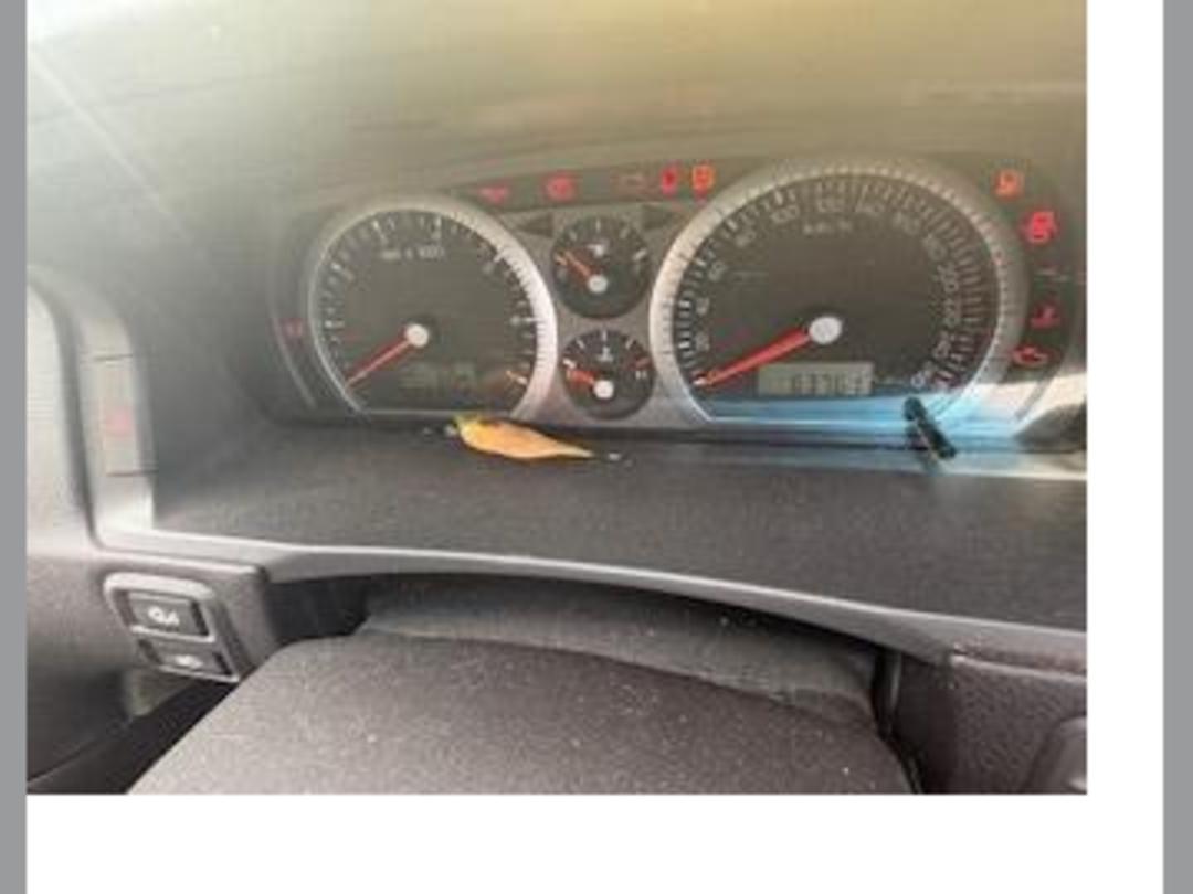 Photo '17' of Ford Falcon BA XR8