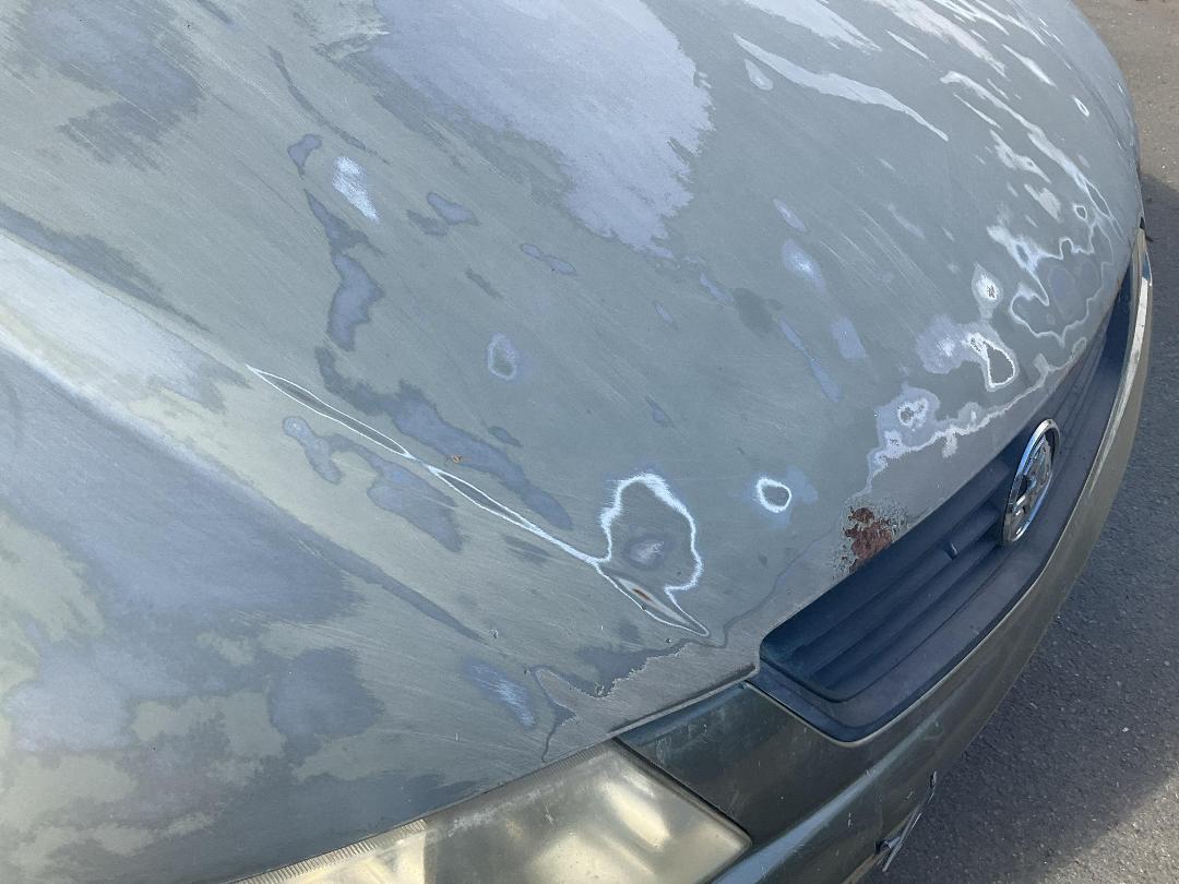 Photo '10' of Holden Commodore Exec Photo '10' of Holden Commodore Exec