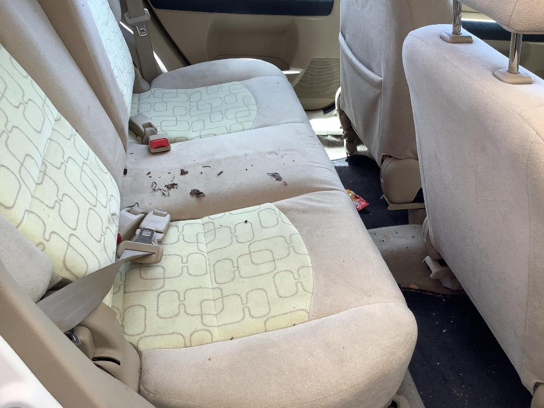 Photo '9' of Mazda Mazda2