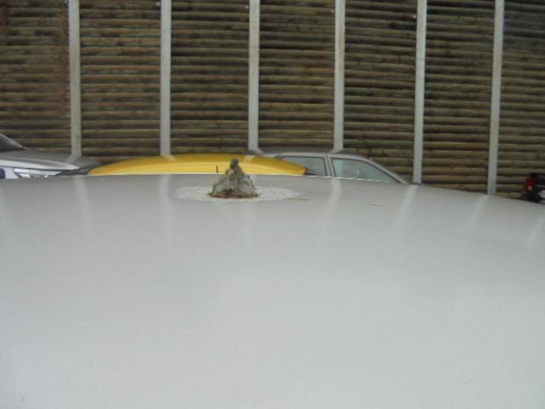 Photo '14' of Toyota Corolla Runx Photo '14' of Toyota Corolla Runx