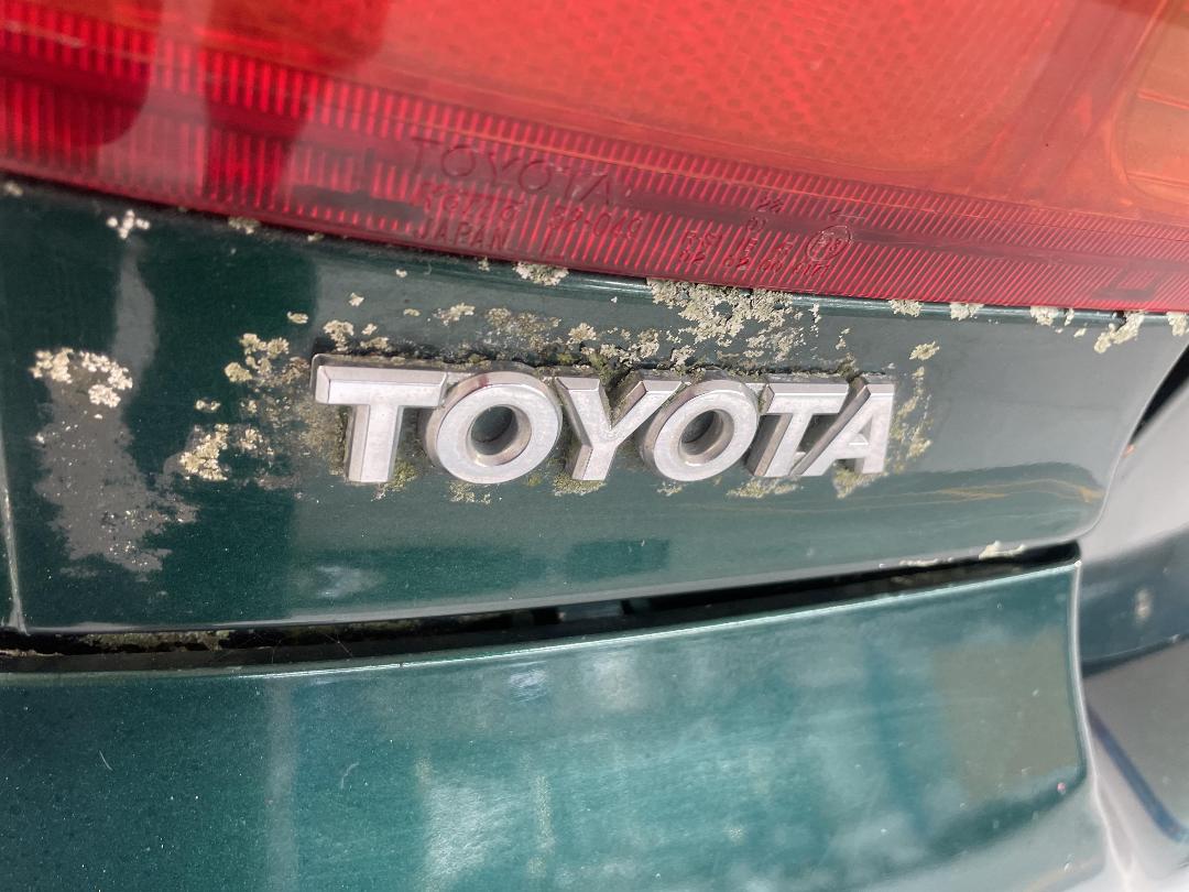 Photo '32' of Toyota Echo Photo '32' of Toyota Echo