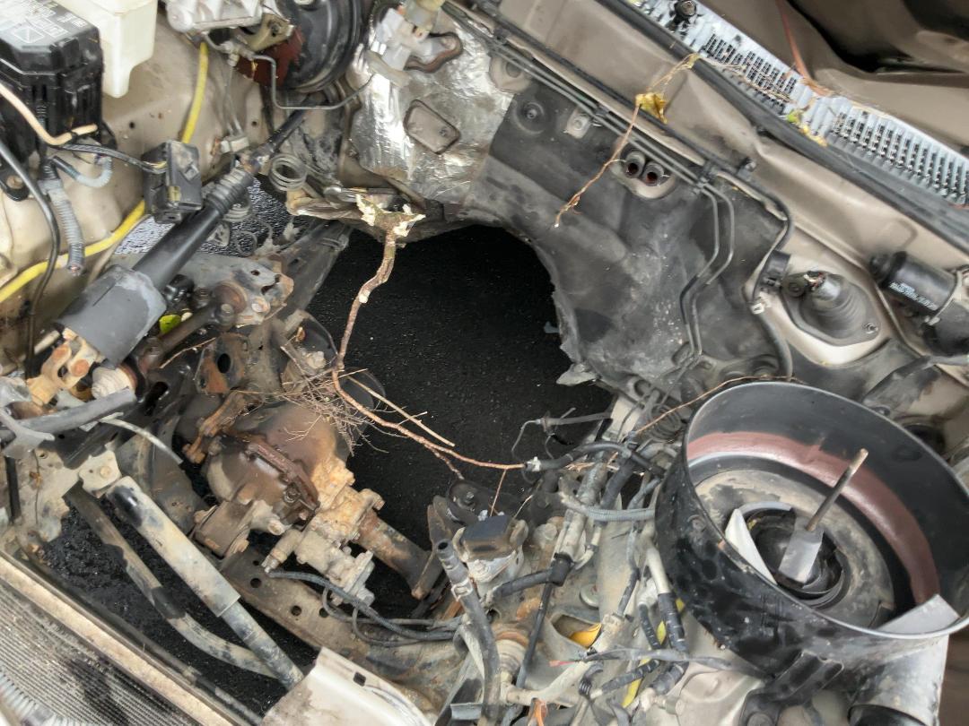 Photo '11' of Toyota Hilux TD SR5 D/C