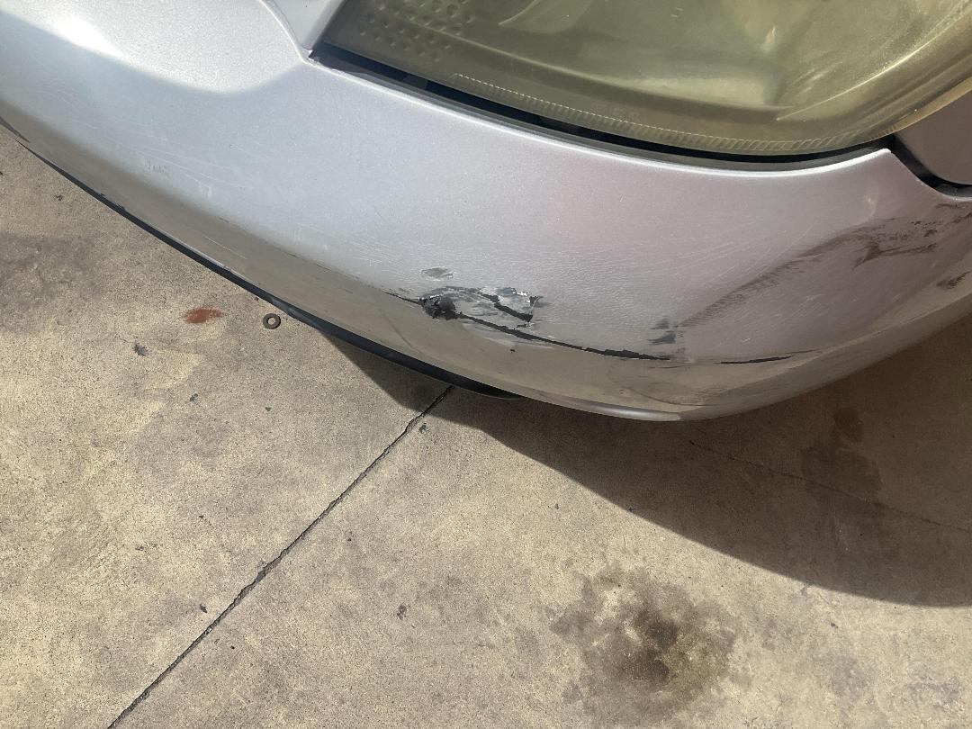 Photo '18' of Toyota Ist