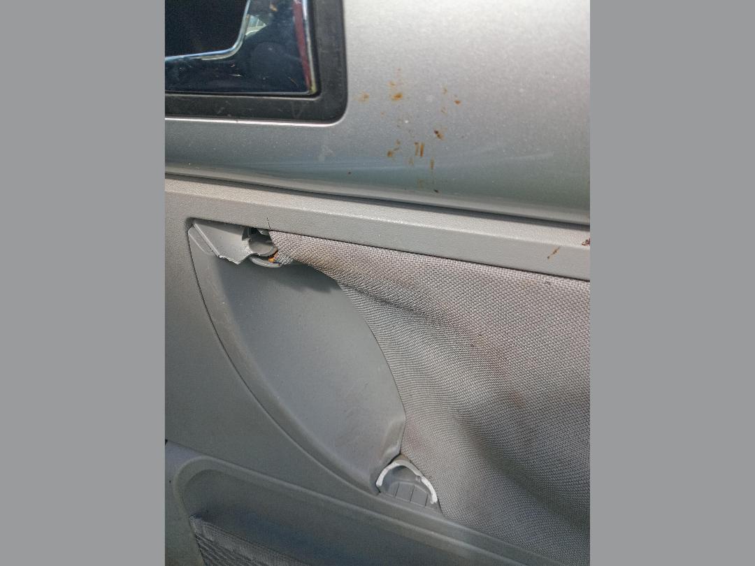 Photo '8' of Volkswagen Beetle