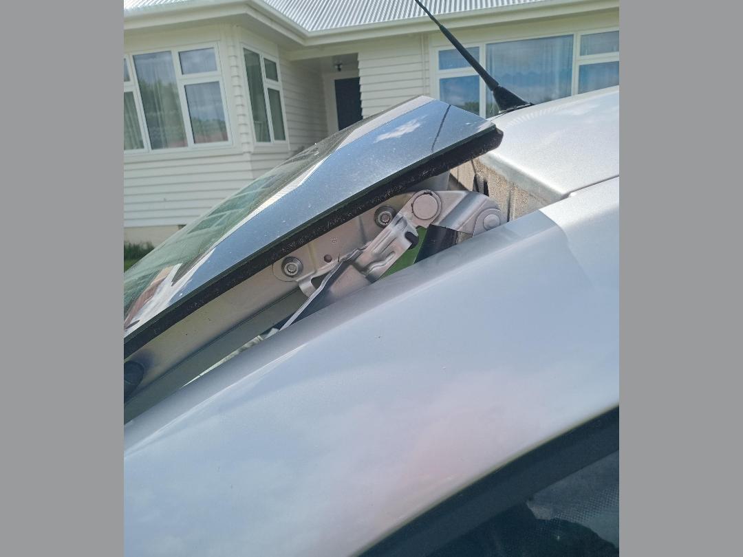 Photo '11' of Volkswagen Beetle