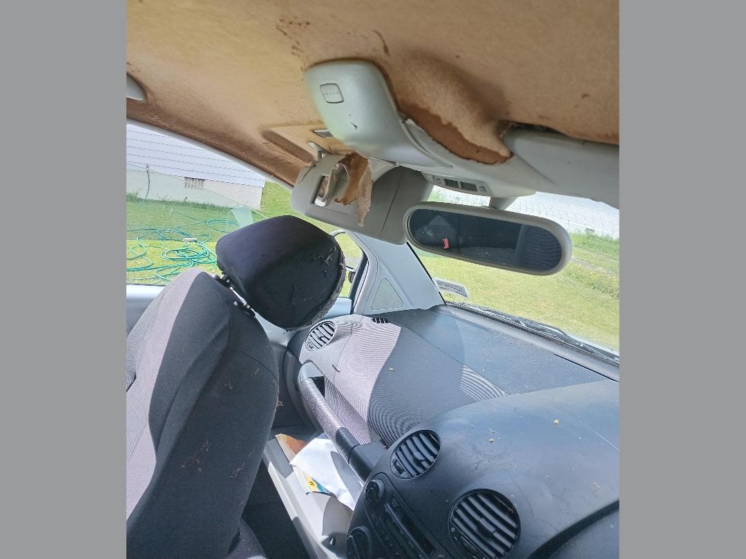 Photo '12' of Volkswagen Beetle