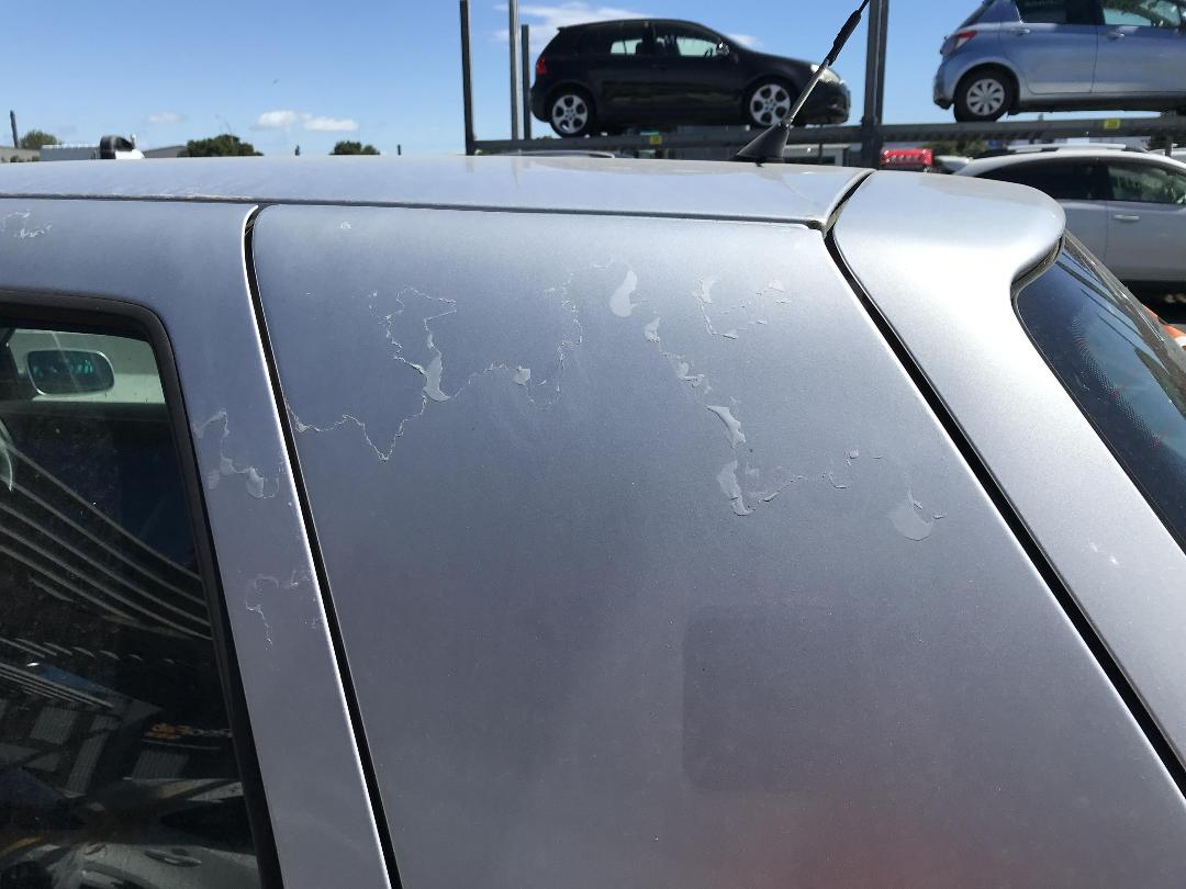 Photo '15' of Volkswagen Golf