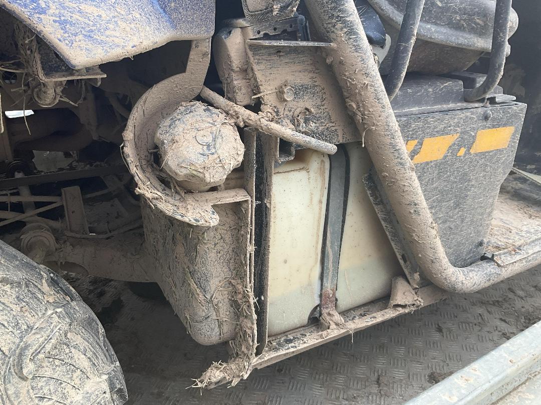 Photo '25' of Yamaha Rino