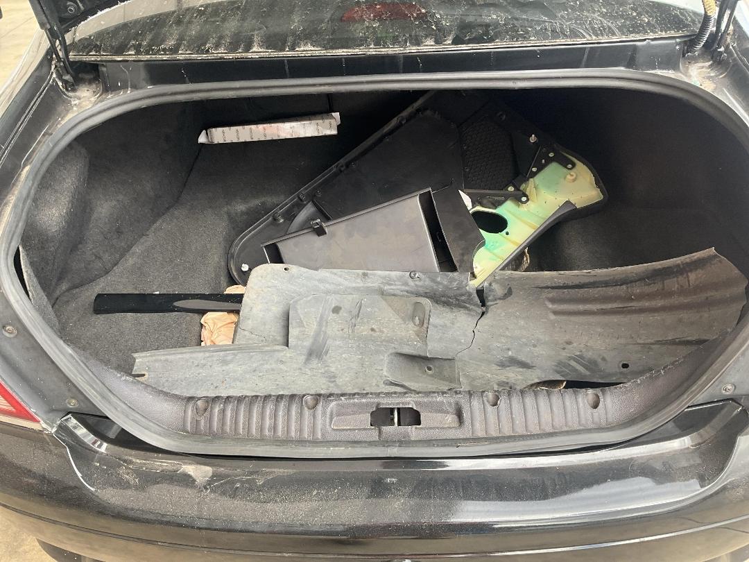 Photo '11' of Ford Falcon BA XR6T 4FA