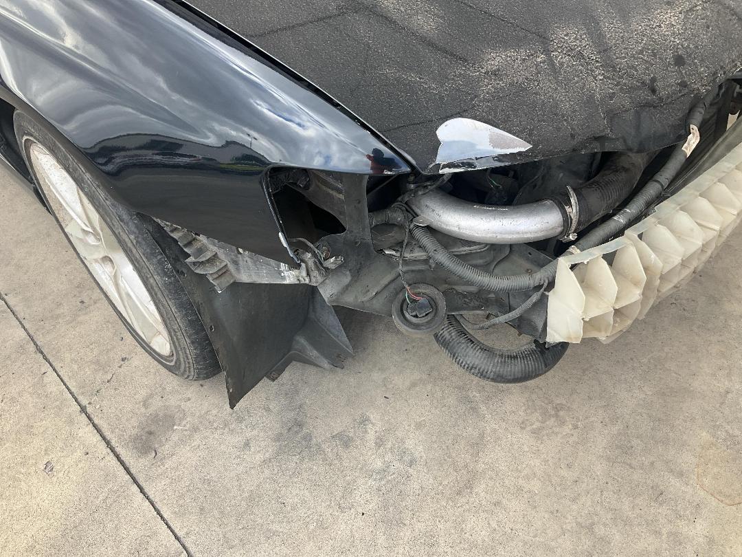 Photo '24' of Ford Falcon BA XR6T 4FA