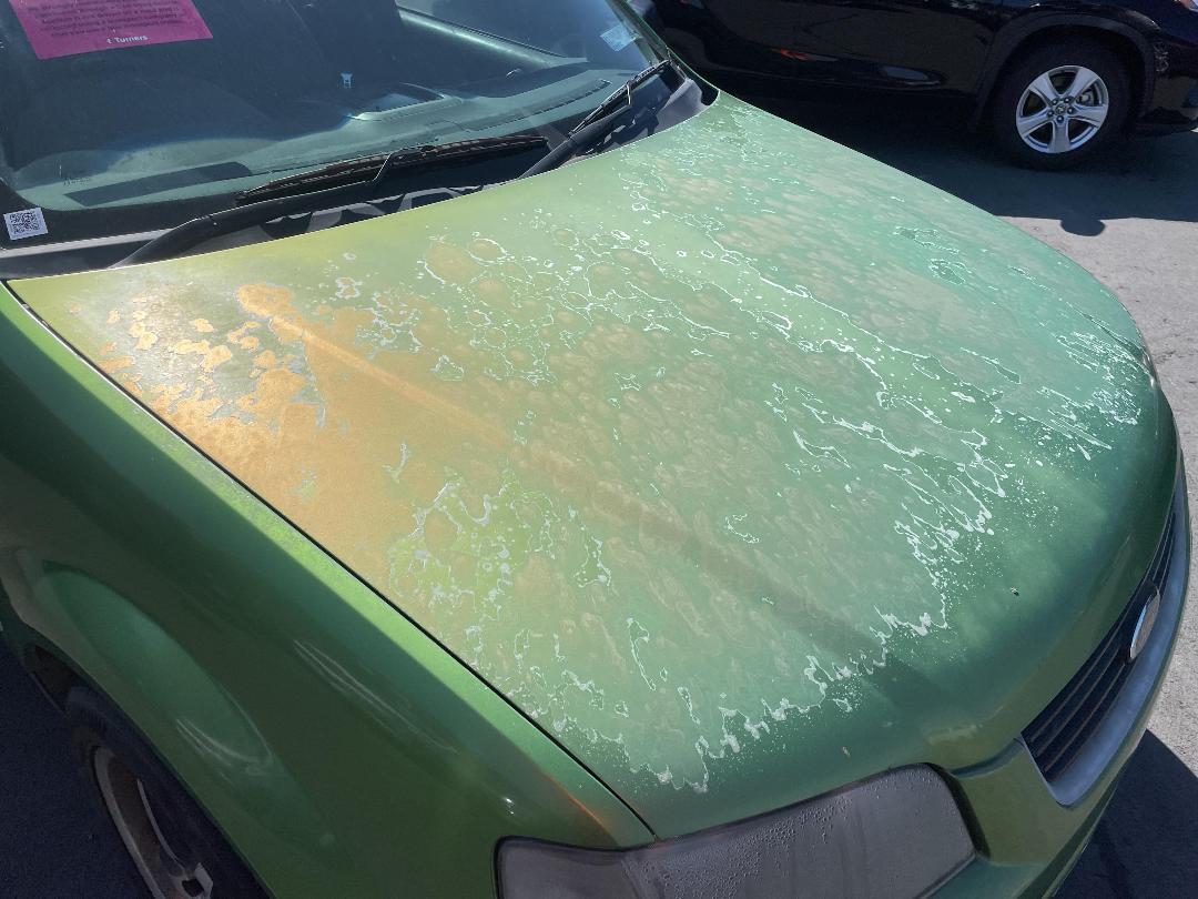 Photo '21' of Ford Territory TX