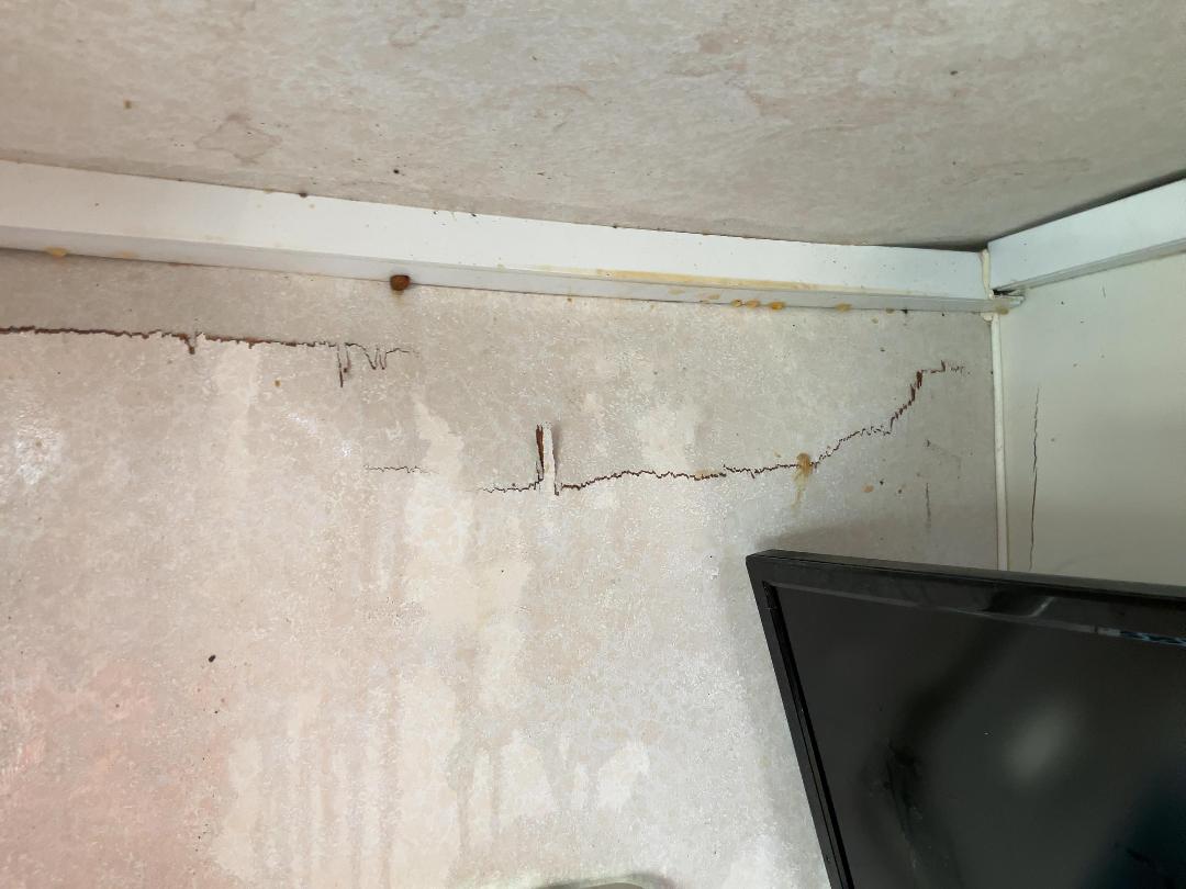 Photo '33' of Ford Transit TR425Elwb TD CC M Motorhome