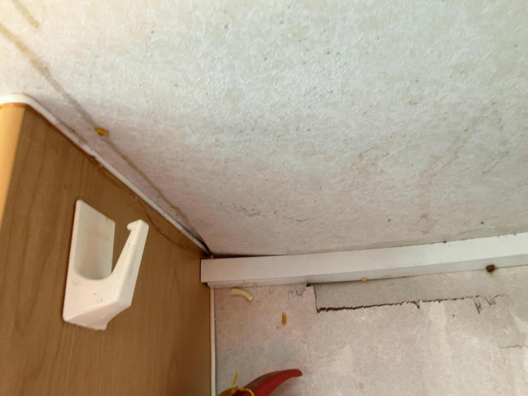 Photo '36' of Ford Transit TR425Elwb TD CC M Motorhome