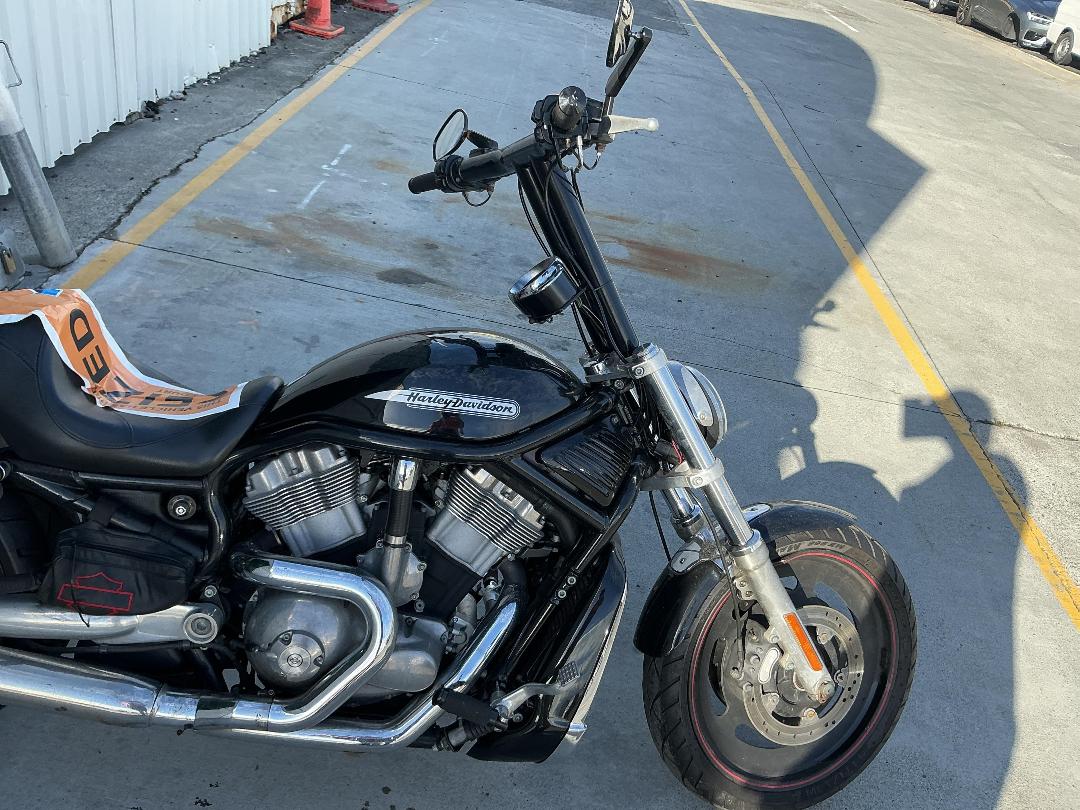 Photo '10' of Harley Davidson Vrscb