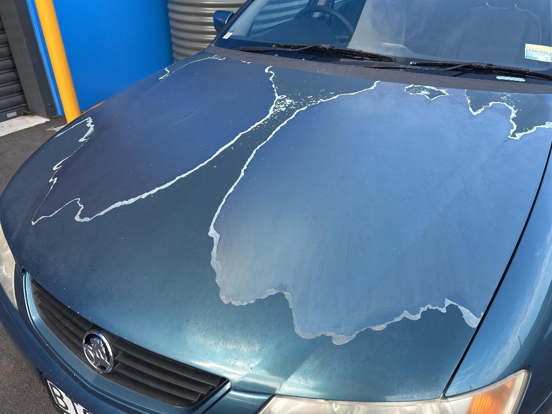 Photo '24' of Holden Commodore Acclaim V6