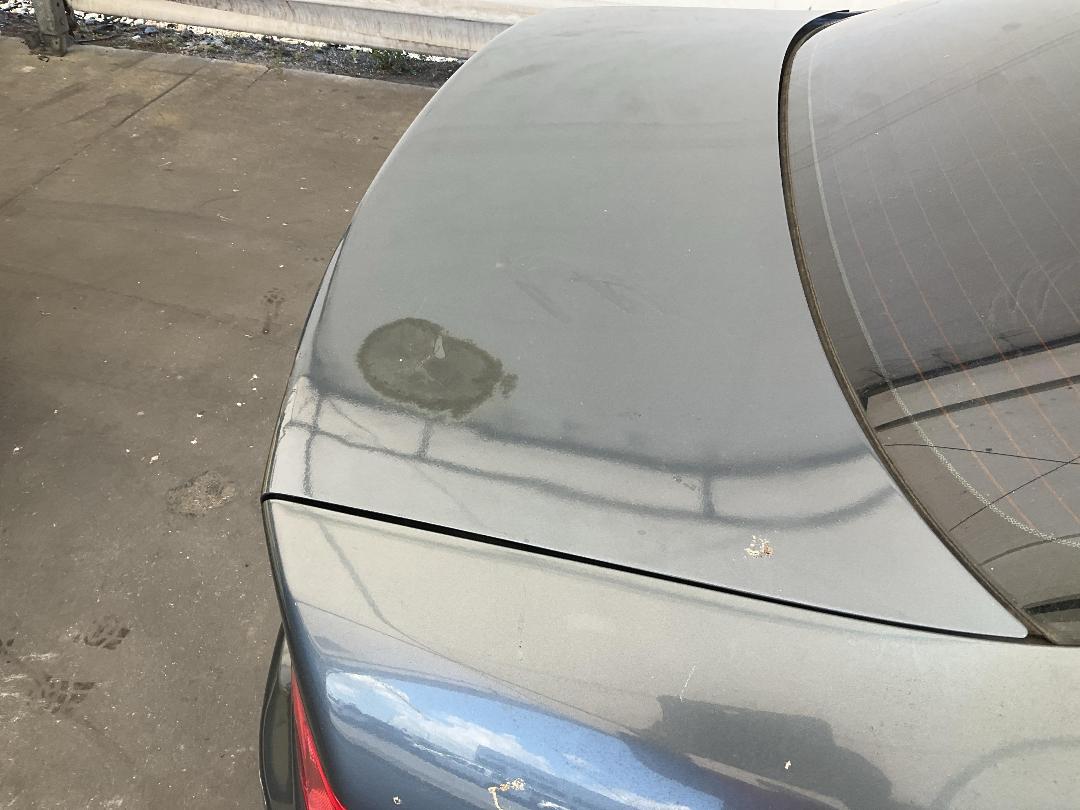 Photo '18' of Honda Accord