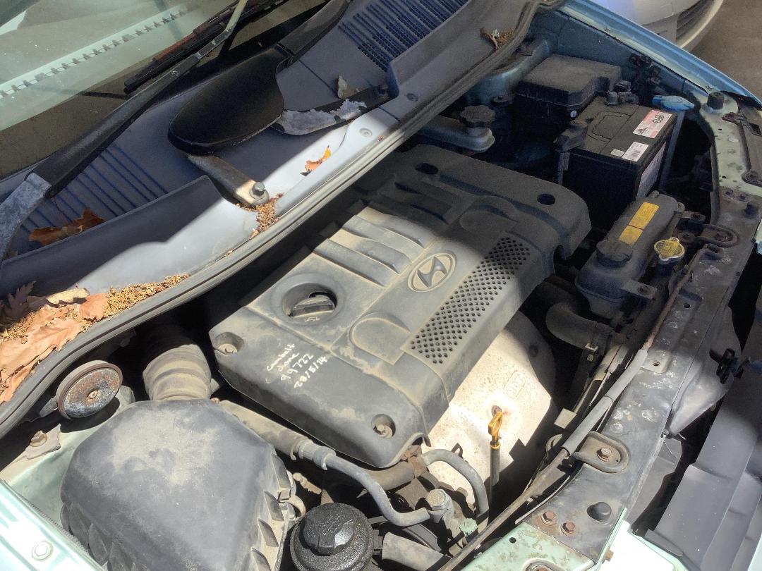 Photo '12' of Hyundai Lavita GLS M5 Photo '12' of Hyundai Lavita GLS M5