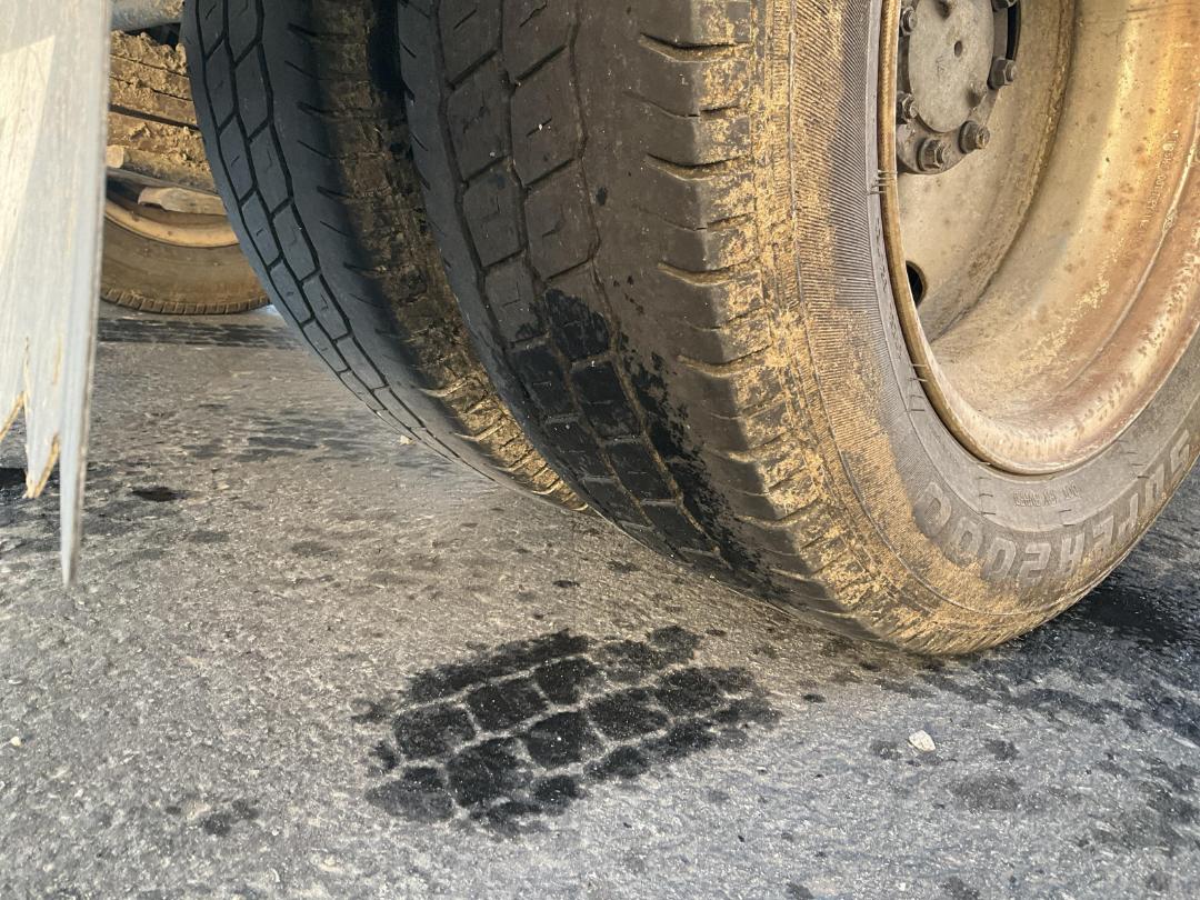 Photo '18' of Isuzu ELF Box Body