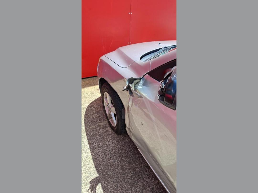 Photo '14' of Mazda Axela