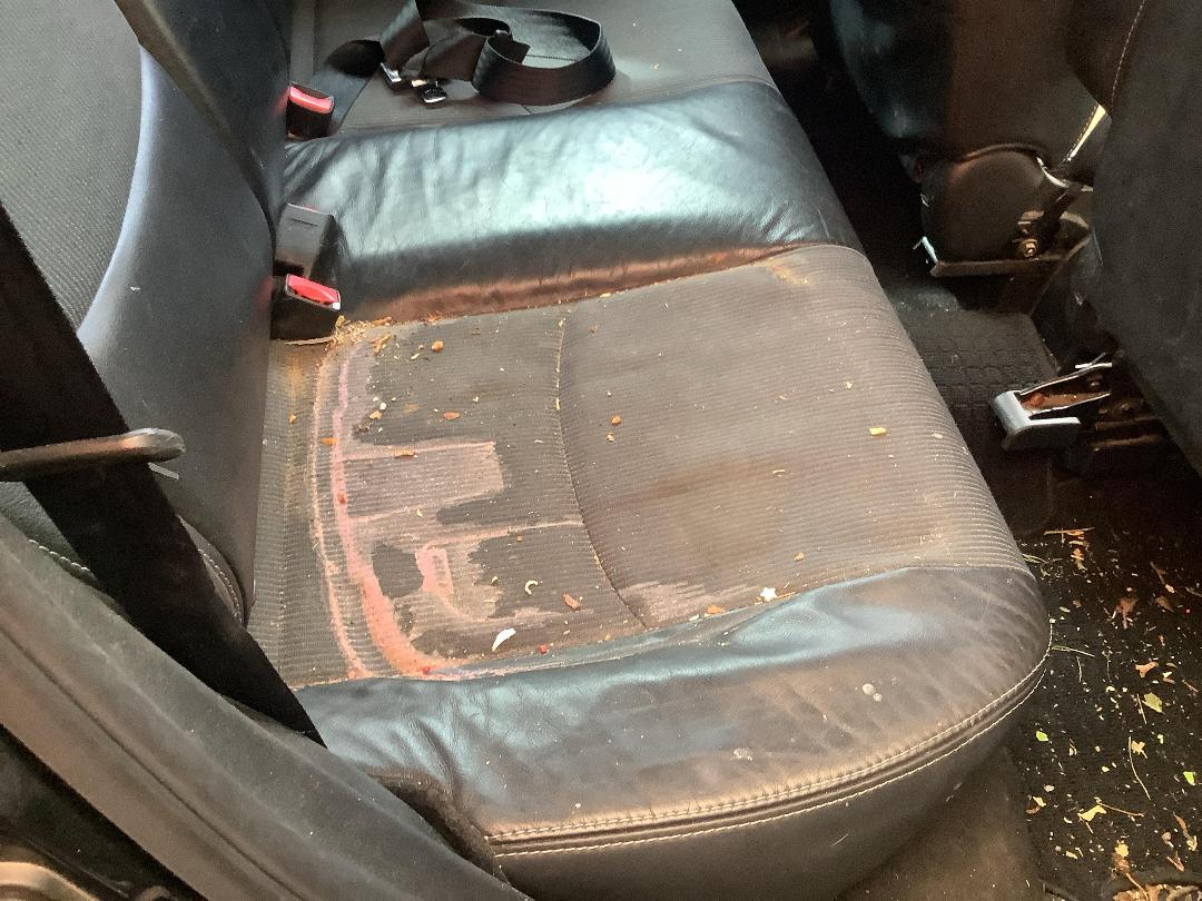 Photo '12' of Mazda Verisa